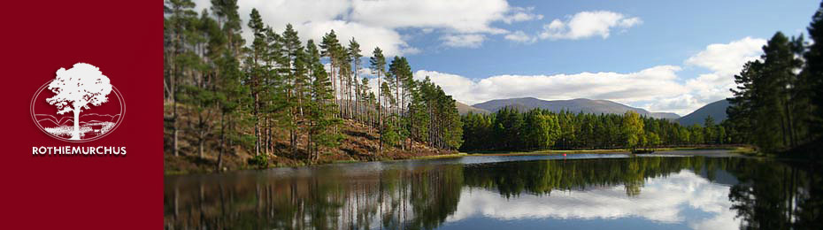 Experience Rothiemurchus