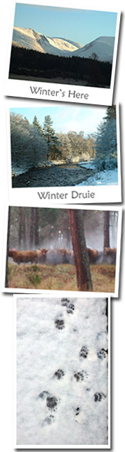 Winter arrives at least for a while!
